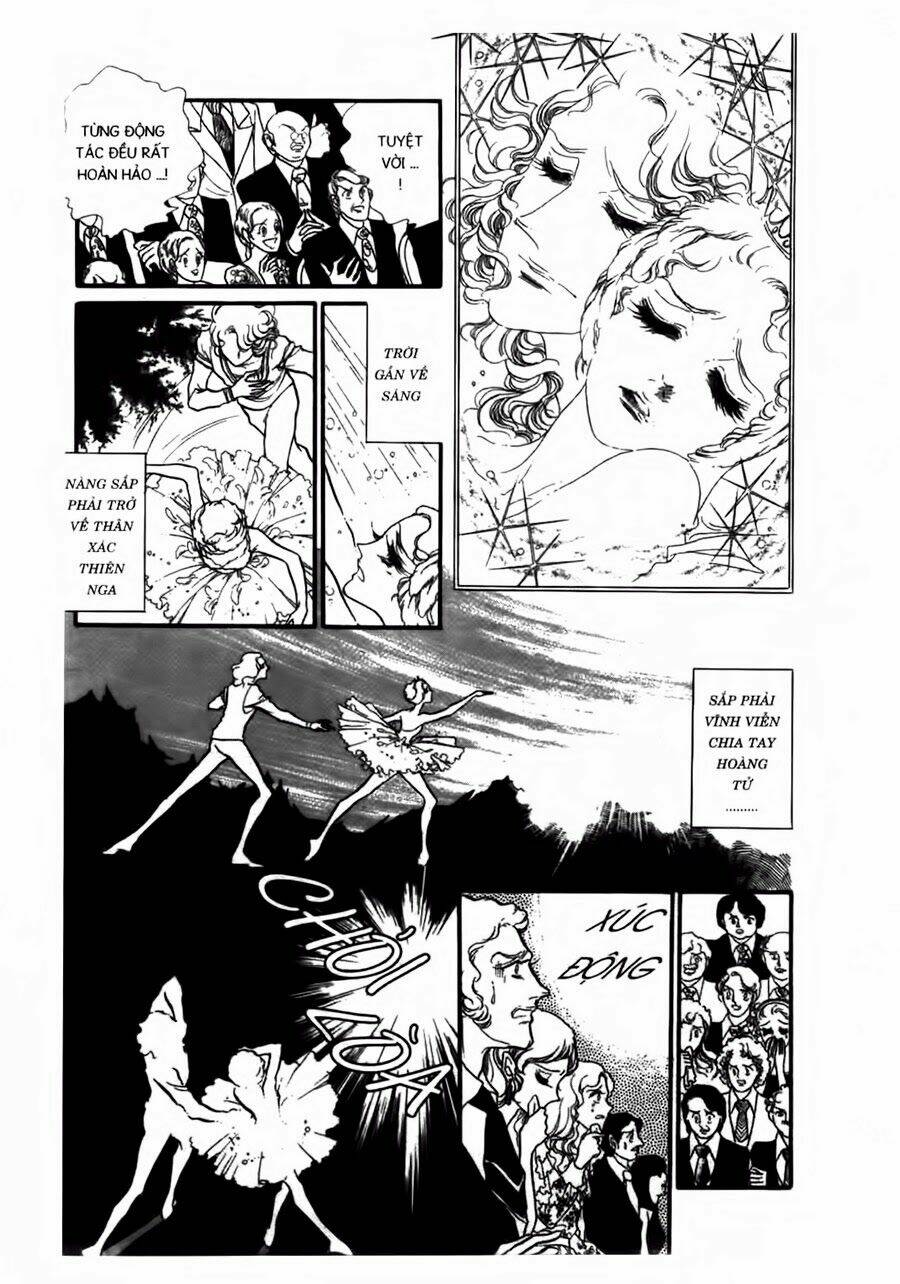 swan - vũ khúc thiên nga chapter 43 15