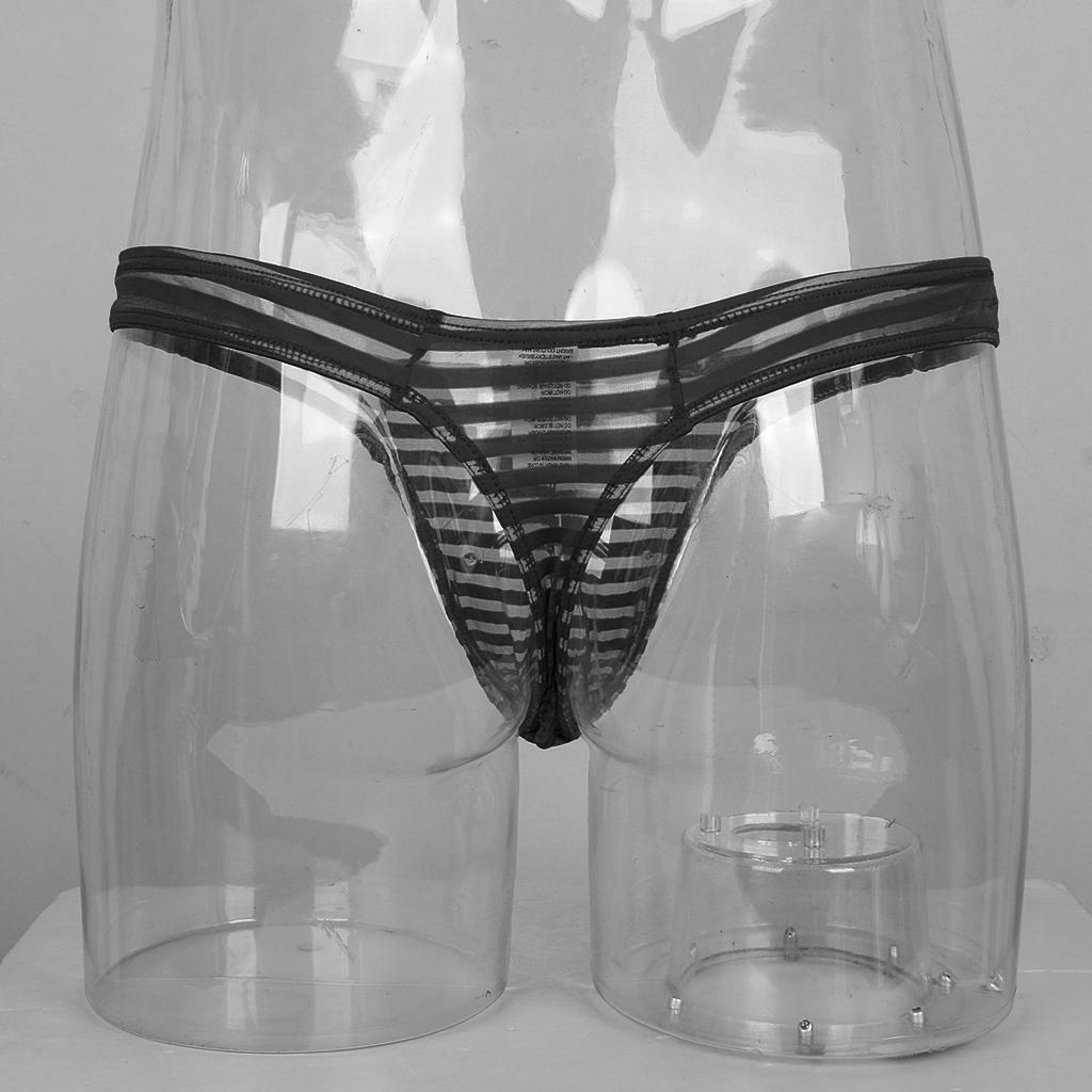 Men's Sheer Mesh Striped Panties Pouch Thong Low Waist Underpants Brief T-back Underwear