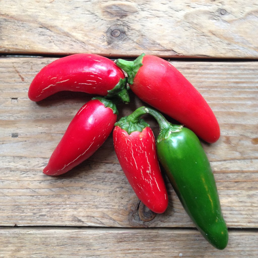 Hạt Giống Ớt Jalapeno Chịu Nhiệt Sai Trái