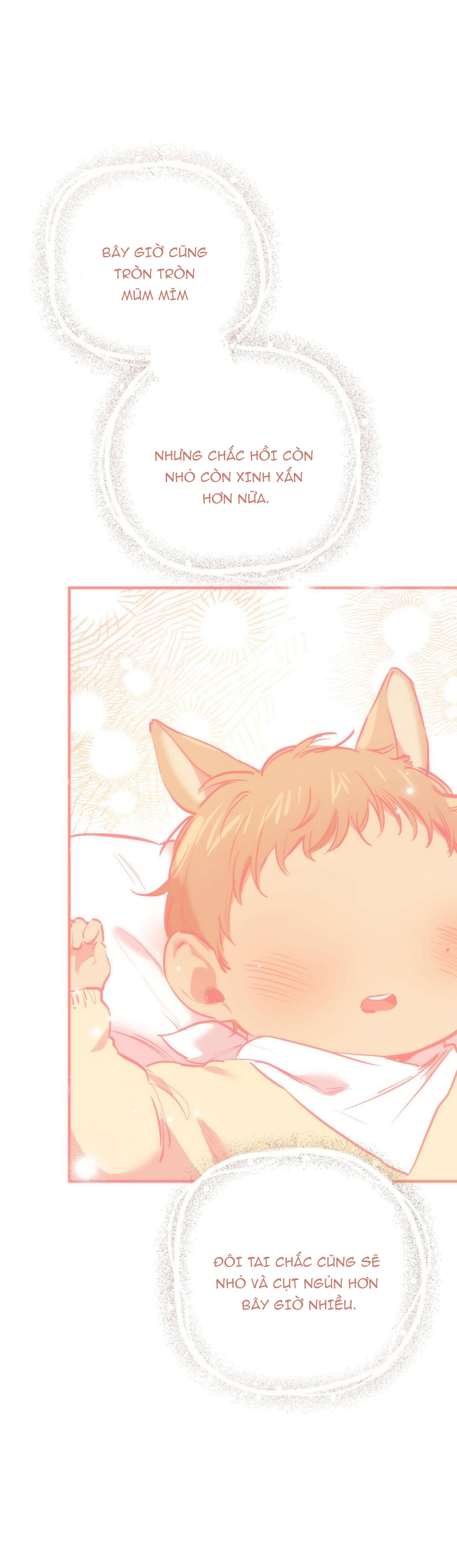 những chú thỏ của hapypy chapter 31 19