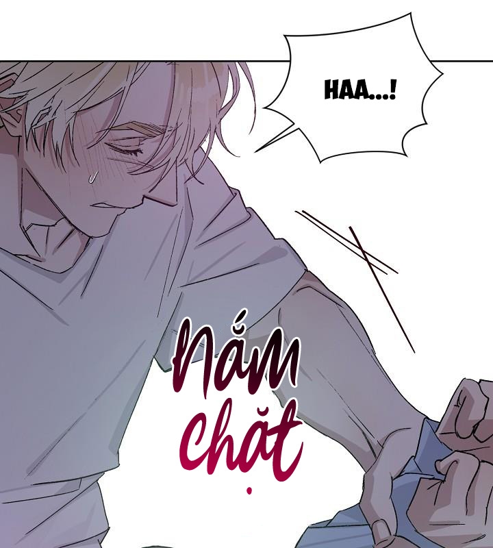 chàng tuấn mã của tôi chapter 22 71