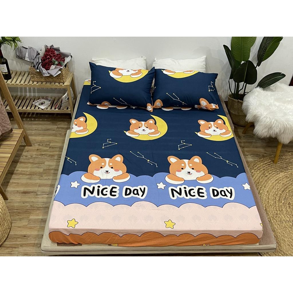 Set ga 3 món 1 ga chun và 2 vỏ gối các kích thước