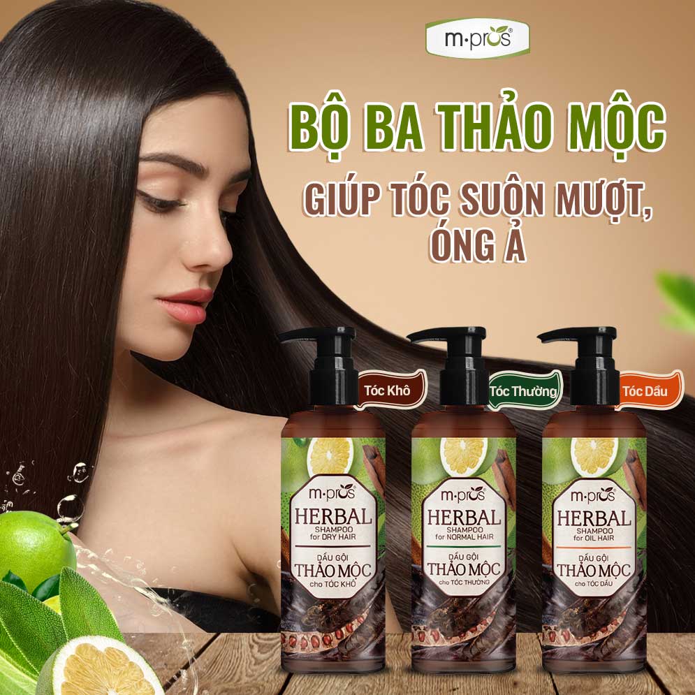 Dầu Gội Thảo Mộc M.pros - Dành Cho Tóc Thường