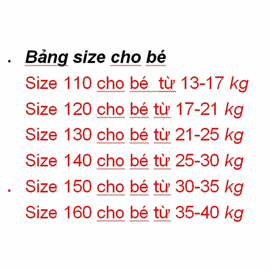 Sét bộ đồ bé trai cao cấp_QN209M