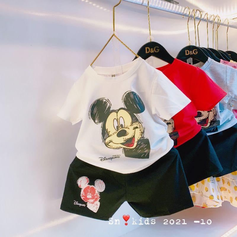 Bộ mickey cotton Quảng Châu hàng đẹp