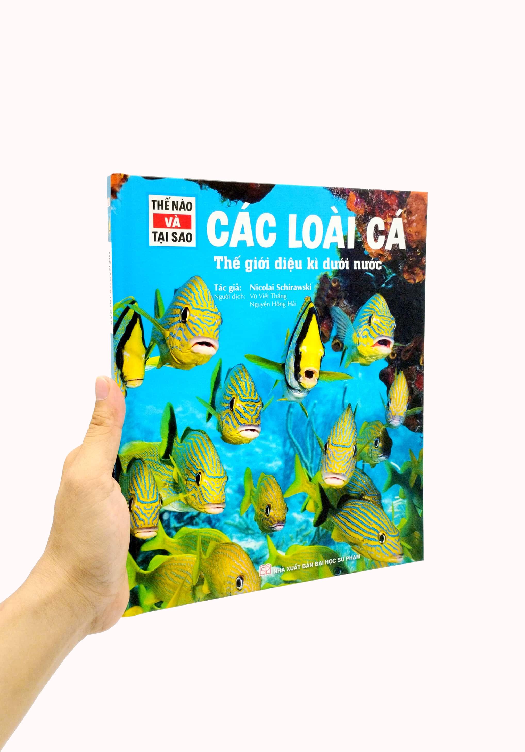 Thế Nào Và Tại Sao - Các Loài Cá - Thế Giới Diệu Kì Dưới Nước - Bìa Cứng (Tái Bản 2023)