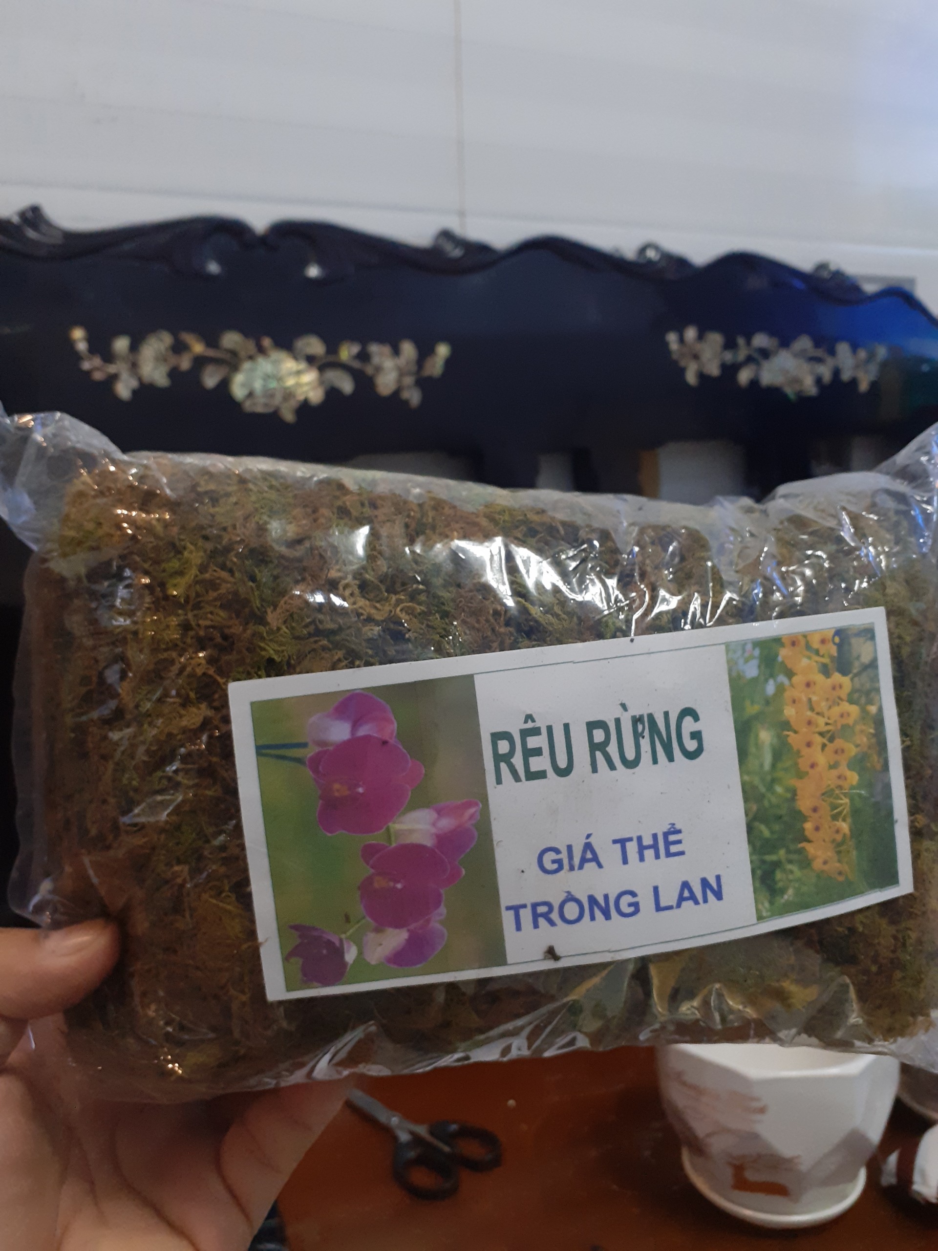 Gói Rêu rừng – giá thể trồng lan