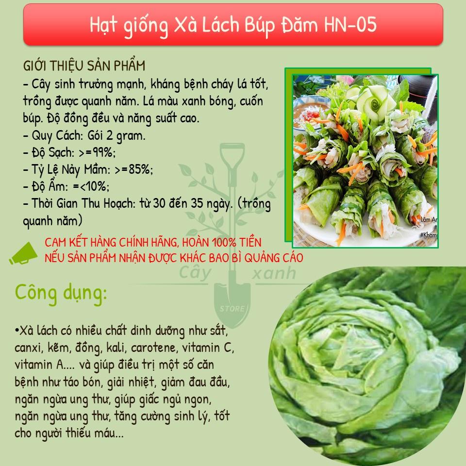 Hạt Giống Xà Lách Búp Đăm, Cuốn Búp Chắc, Kháng Bệnh, Chịu Mưa - Phú Nông Seeds