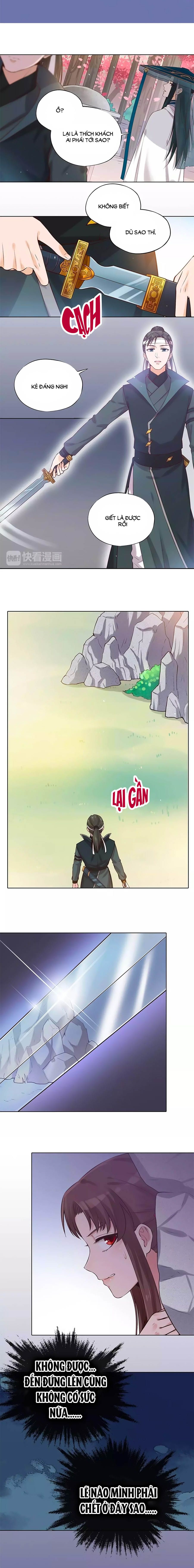 mỹ nhân già rồi chapter 18 5