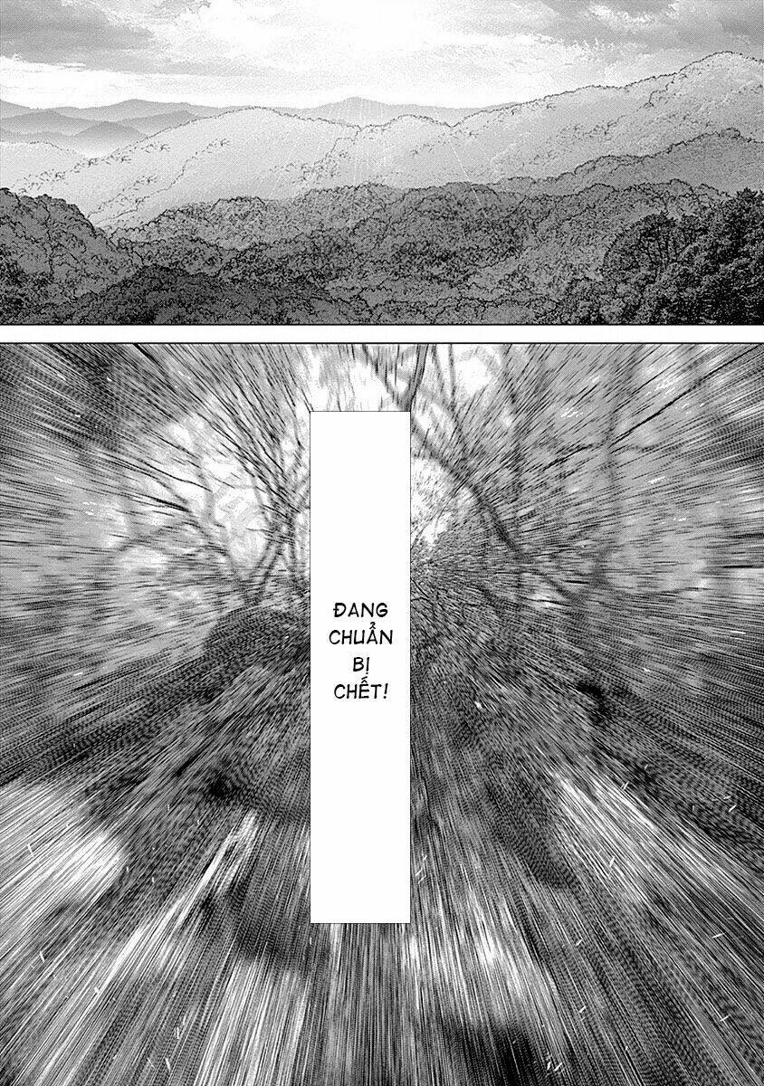 wallman chapter 21 19