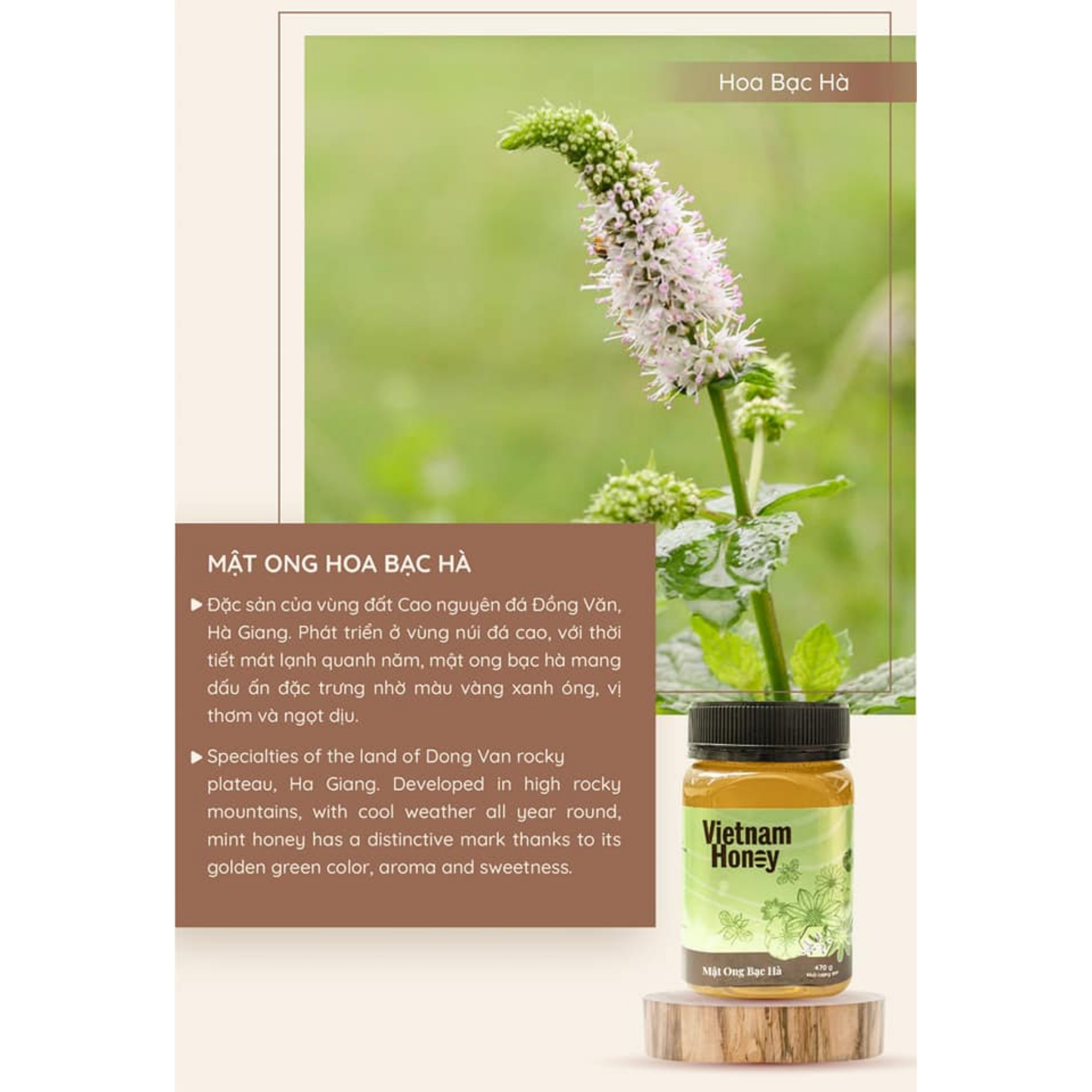 Combo Mật ong Vietnamhoney