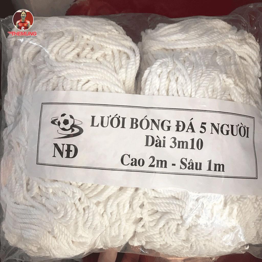 Lưới bóng đá 5 người trắng