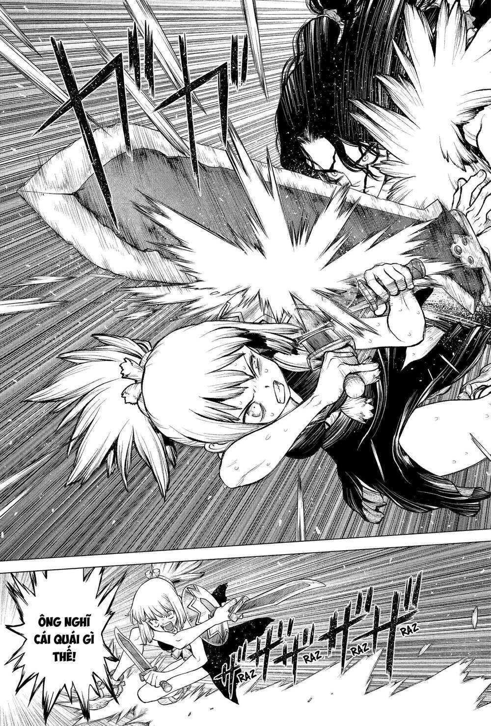 dr.stone - hồi sinh thế giới chapter 219 16