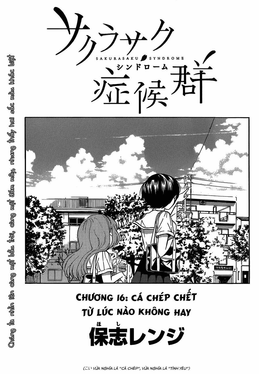 sakurasaku syndrome chapter 16 1