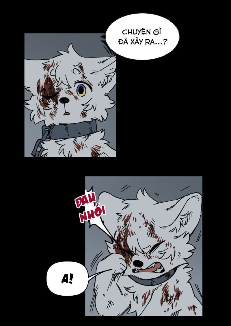 lumine - cội nguồn ánh sáng chapter 138 8