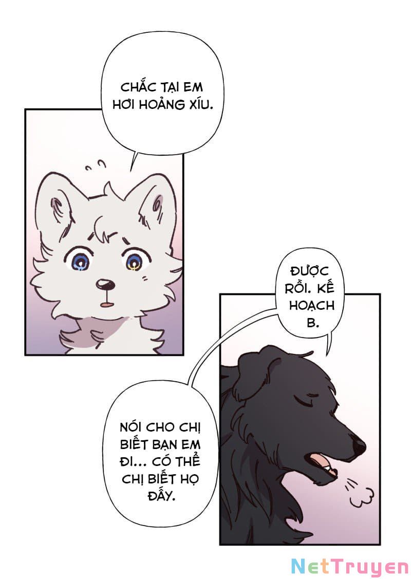 lumine - cội nguồn ánh sáng chapter 82 14