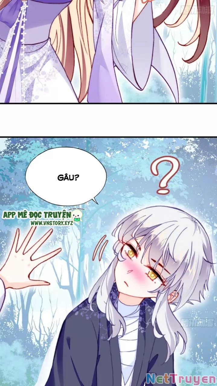 lại bị bệnh chiều chuộng quấn lấy chapter 19 4