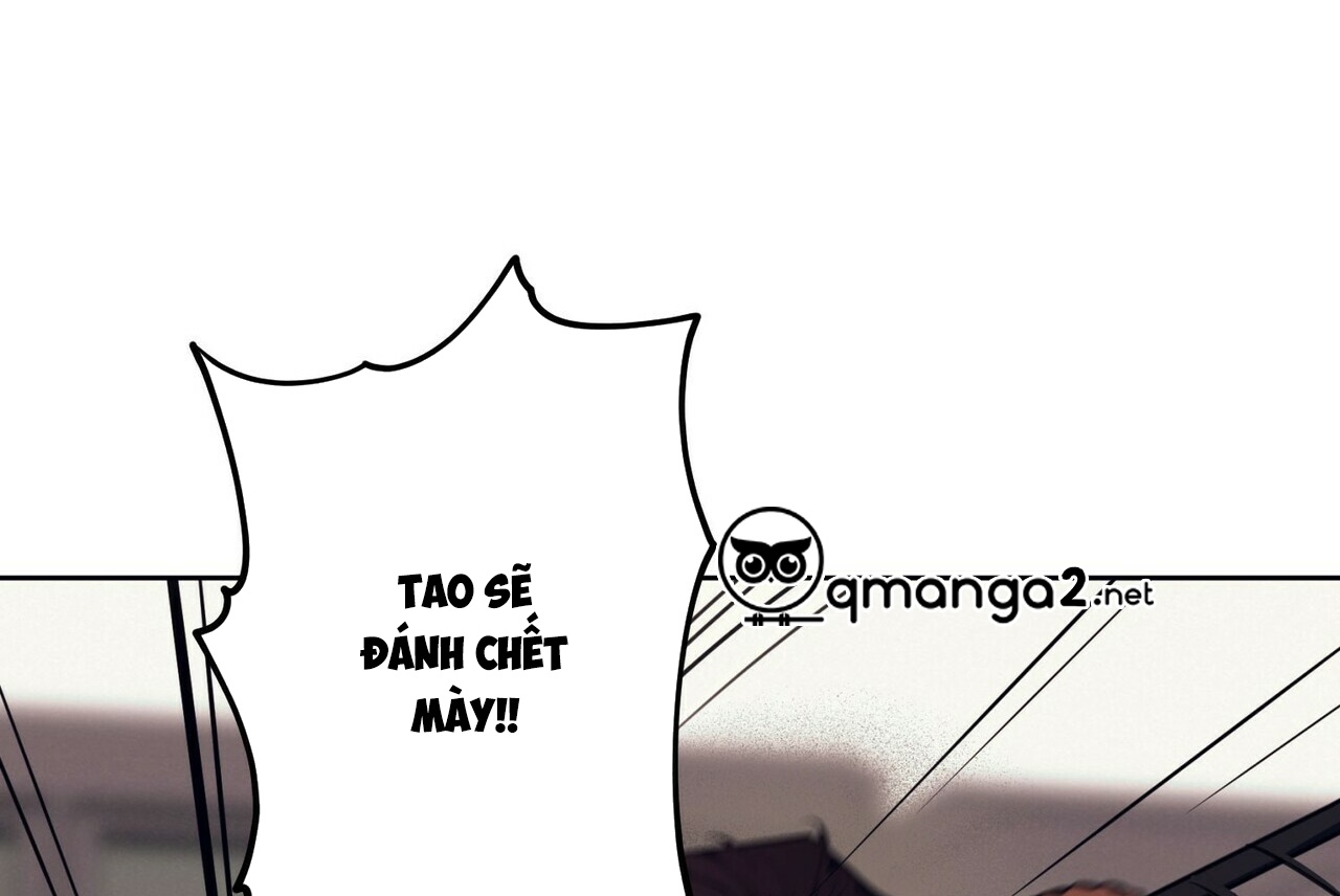 chàng dâu nhà họ kang chapter 1 15