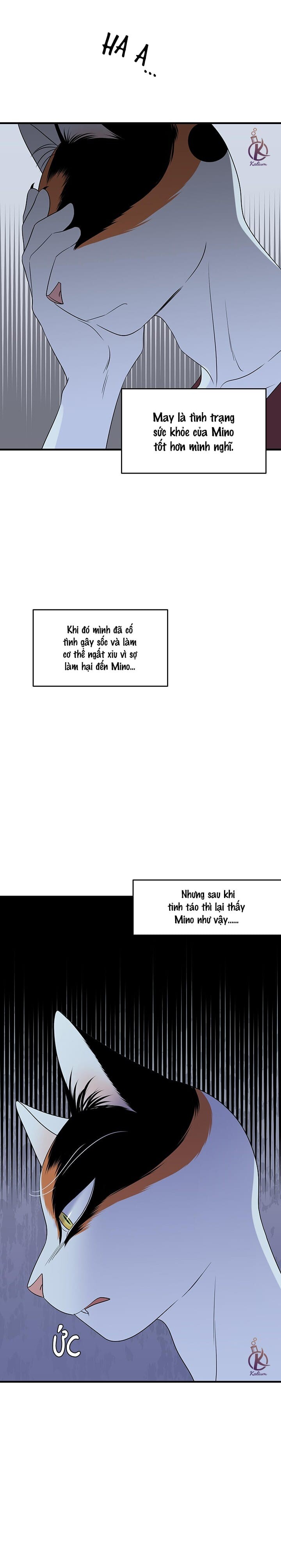 dự án xanh chapter 35 17