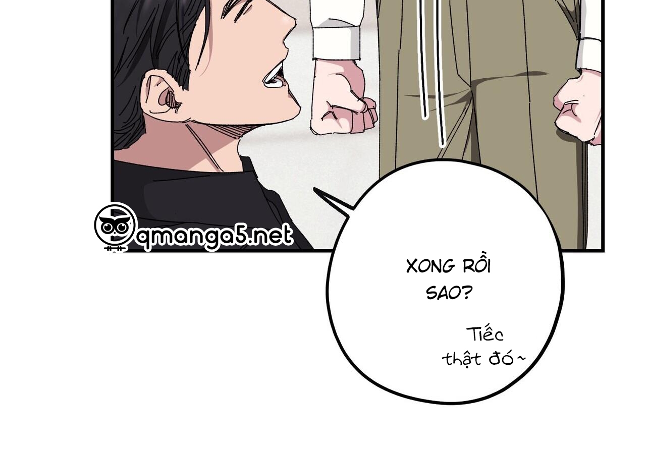 chàng dâu nhà họ kang chapter 33 14