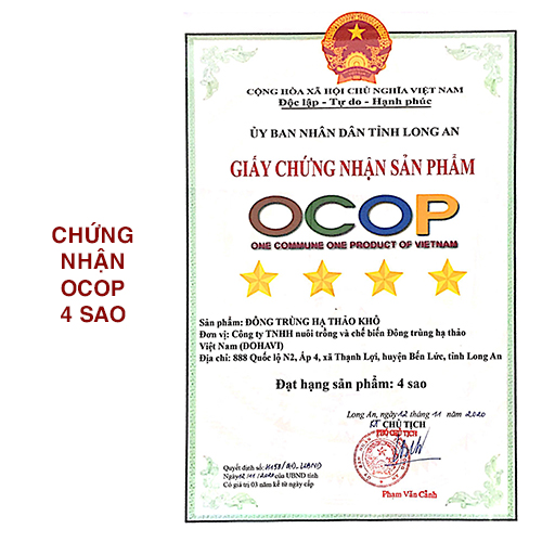 Đông trùng hạ thảo - sấy thăng hoa - 10g