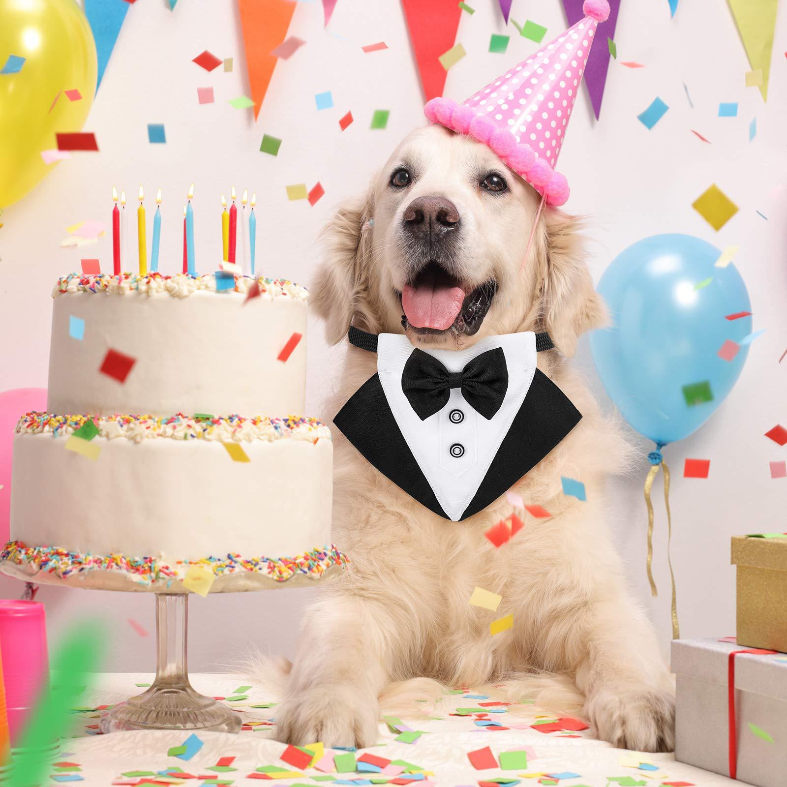 Chó chính thức hút thuốc Bandana Dog Wedding Bandana Dogs Cổ áo với thiết kế bay và cà vạt điều chỉnh cổ áo đen có thể điều chỉnh cổ áo chính thức của con chó bay.