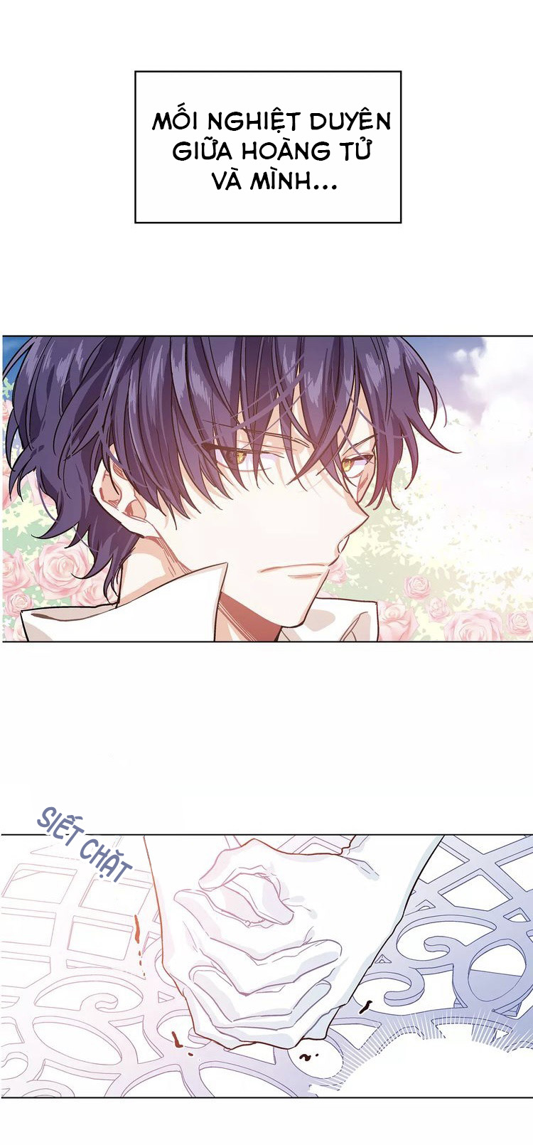 nữ hoàng ngoại khoa chapter 0 17