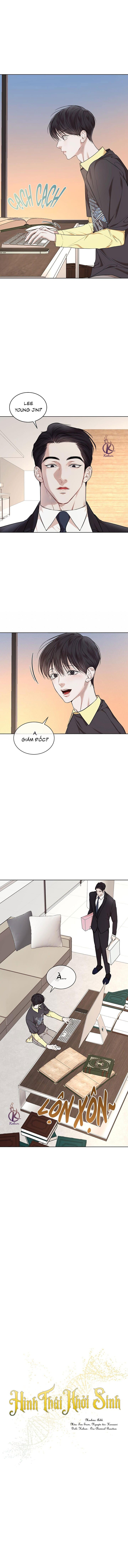 hình thái khởi sinh chapter 80 2