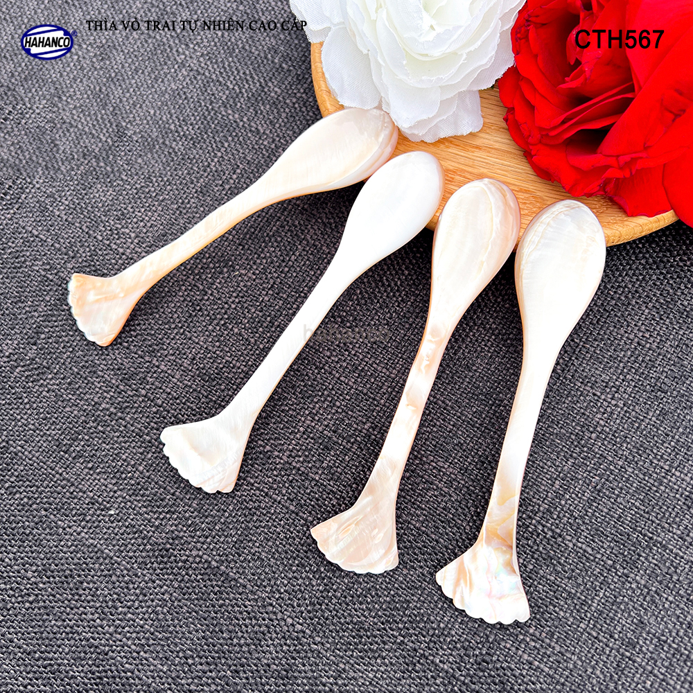 Muỗng Cà Phê Gia Vị Bằng Xà Cừ Tiêu Chuẩn Xuất Khẩu - HAHANCO - CTH567