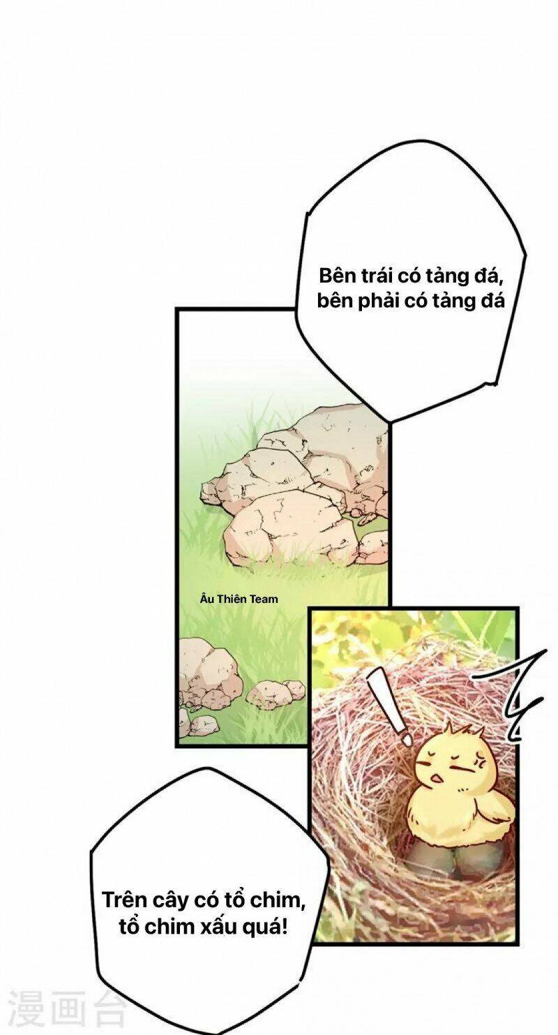 Tổng Tài Tại Thượng Chapter 404 - Trang 14