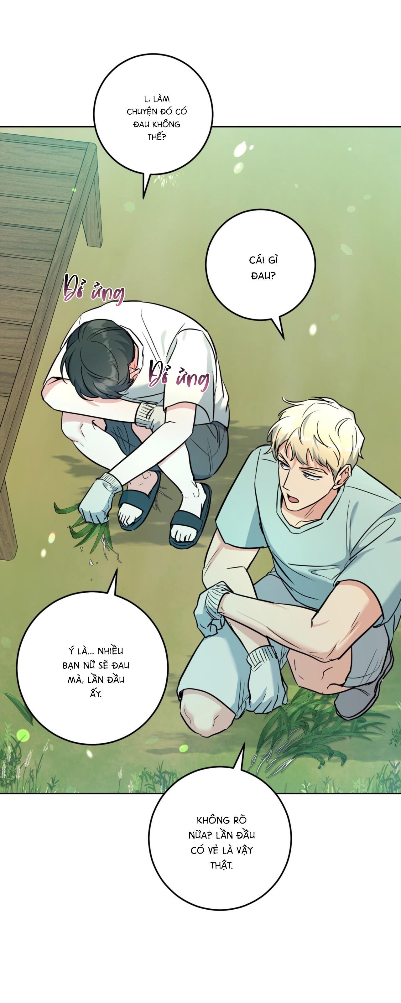 khu rừng tĩnh lặng chapter 15 12