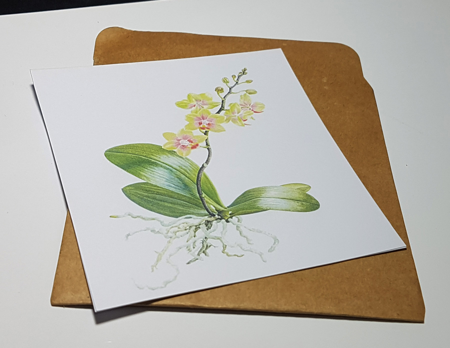 Thiệp phong cách Vintage card quà cám ơn ,chúc mừng sinh nhật và giử tặng người thân yêu