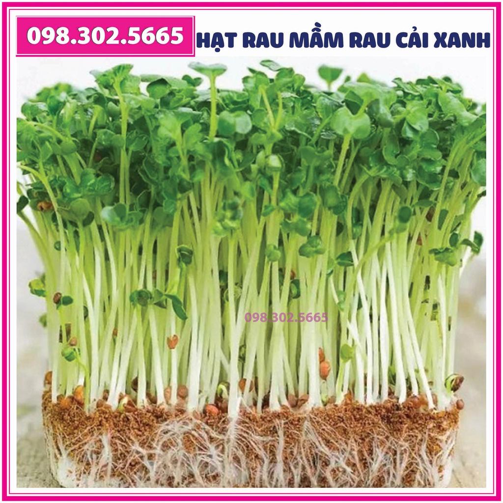 Bộ 2 gói Hạt rau mầm rau cải xanh - gói 50g - Trồng rau mầm sạch, rau mầm hữu cơ an toàn tại nhà