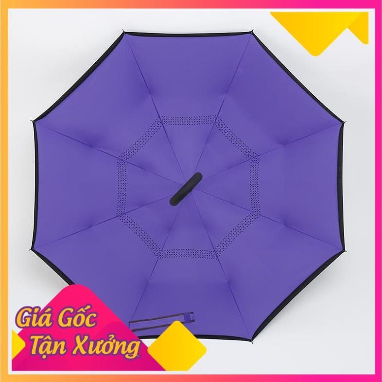 Dù Gấp Ngược Đi Mưa Thông Minh Tay Cầm Chữ C Tiện Lợi  TP'S