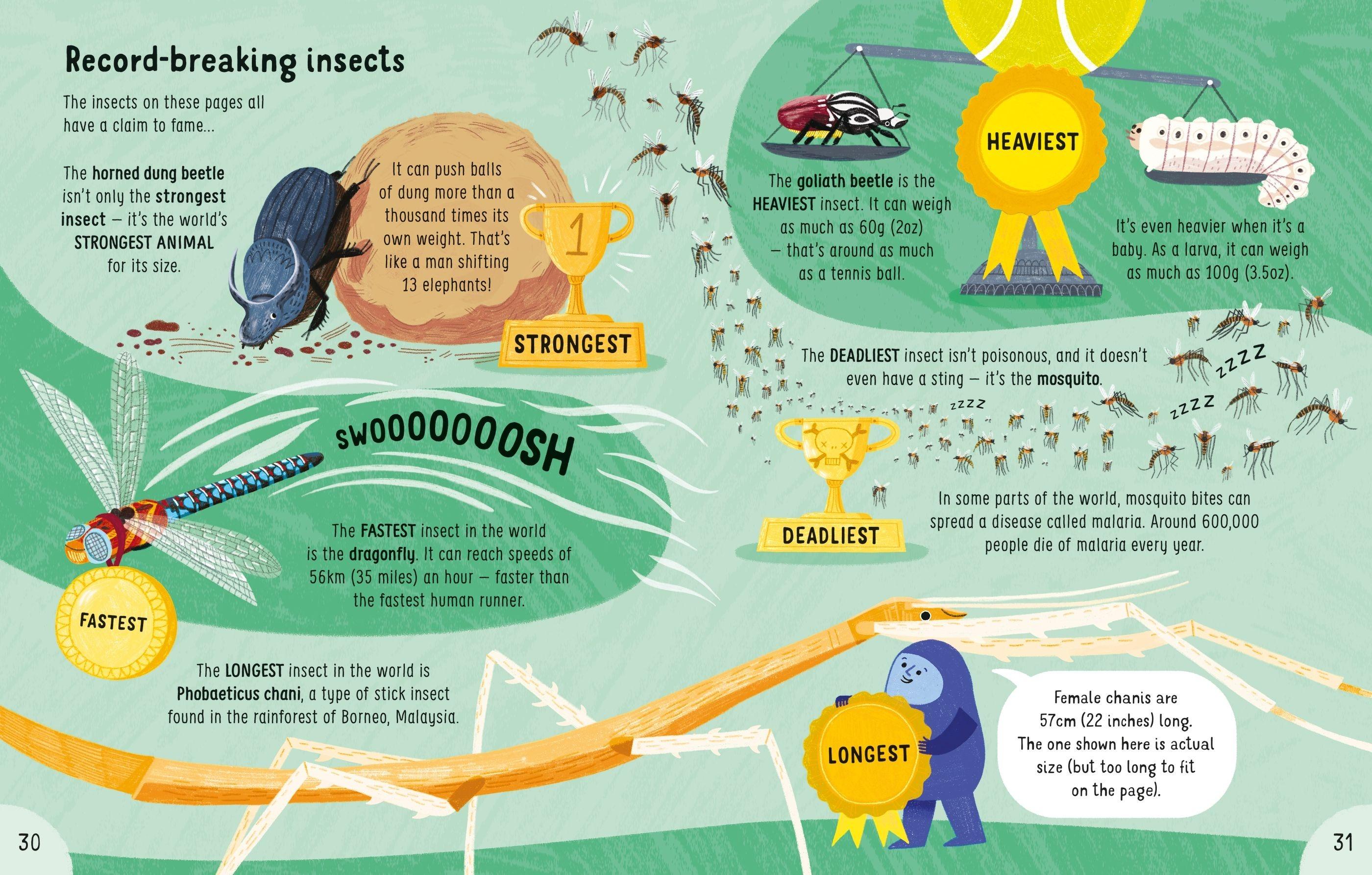 Sách ngoại văn: Lots Of Things To Know About Bugs