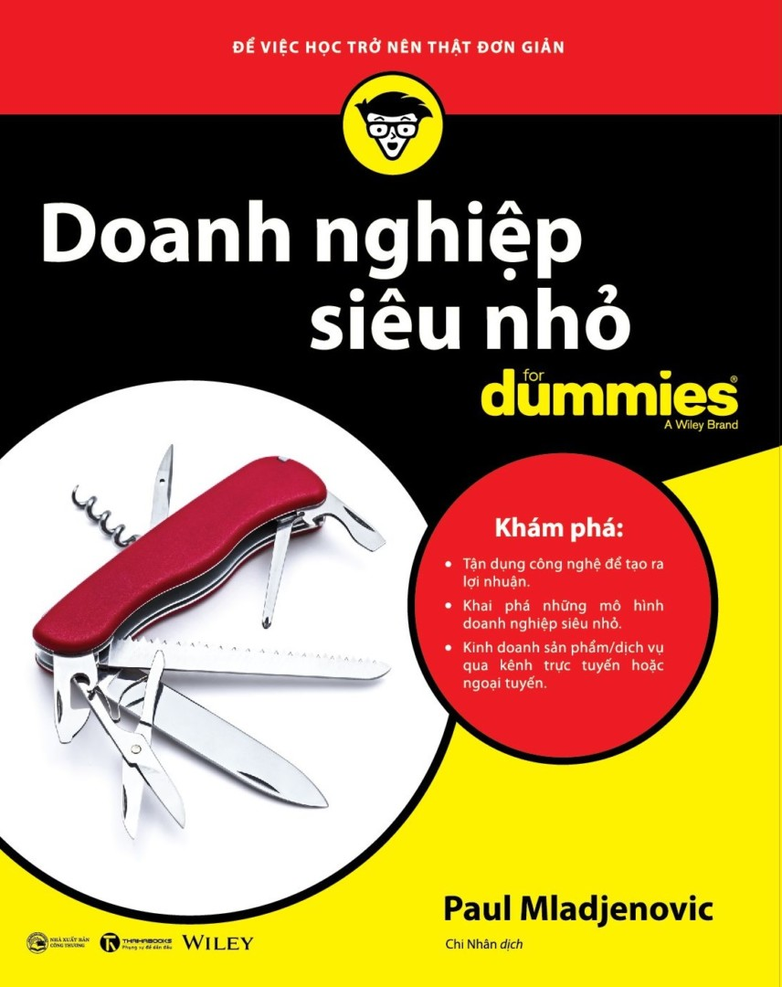 Doanh Nghiệp Siêu Nhỏ For Dummies - Paul Mladjenovic - Chi Nhân dịch - (bìa mềm)