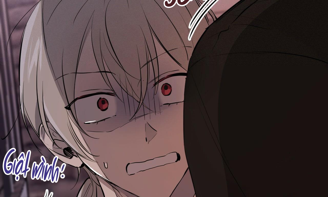 những chú thỏ của hapypy chapter 51 255