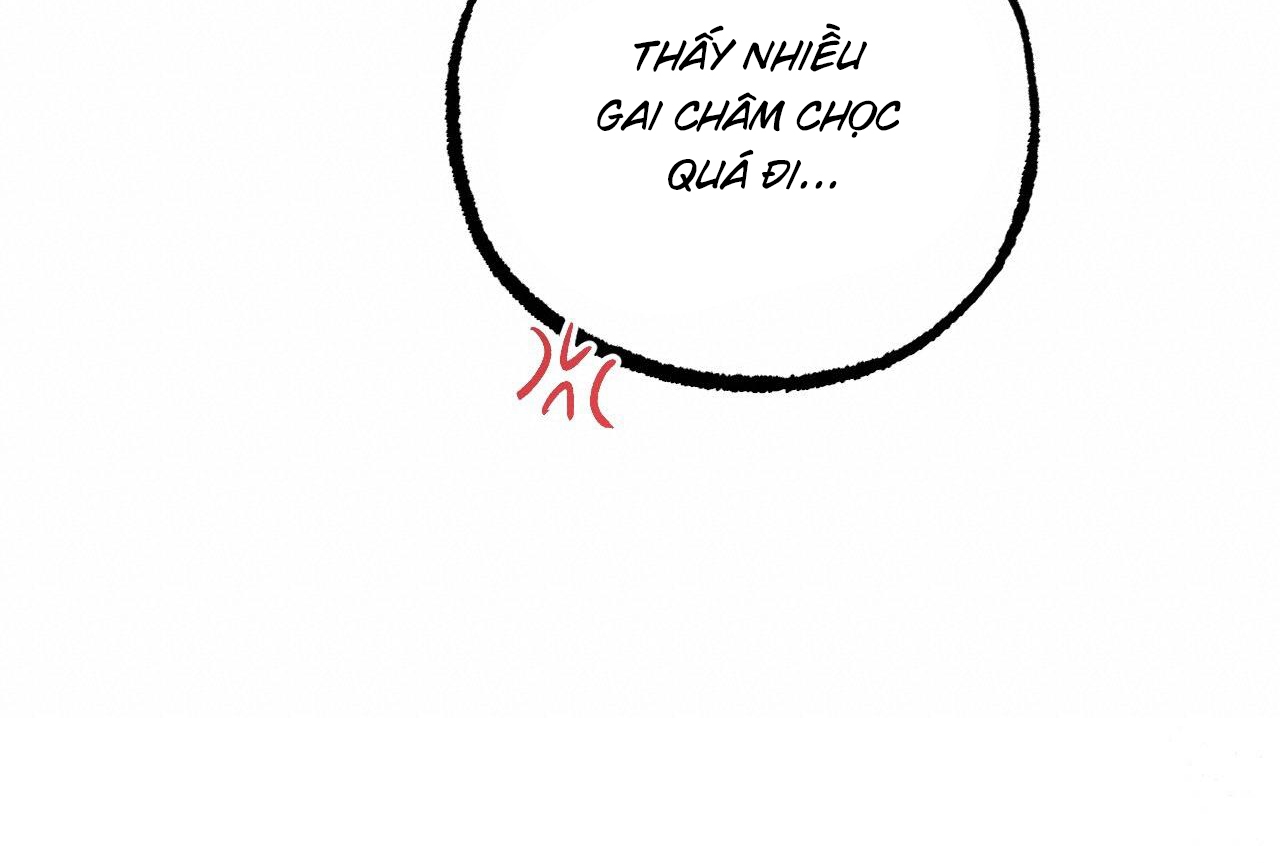 đàn thỏ của habibi chapter 65 149