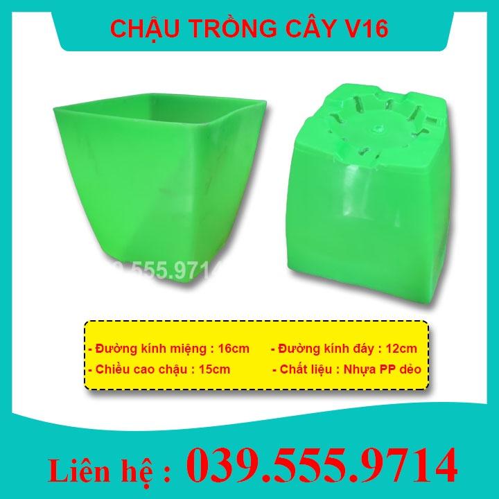 COMBO 10 Chậu Nhựa Trồng Cây V16 - Chậu bền, đẹp, giá rẻ