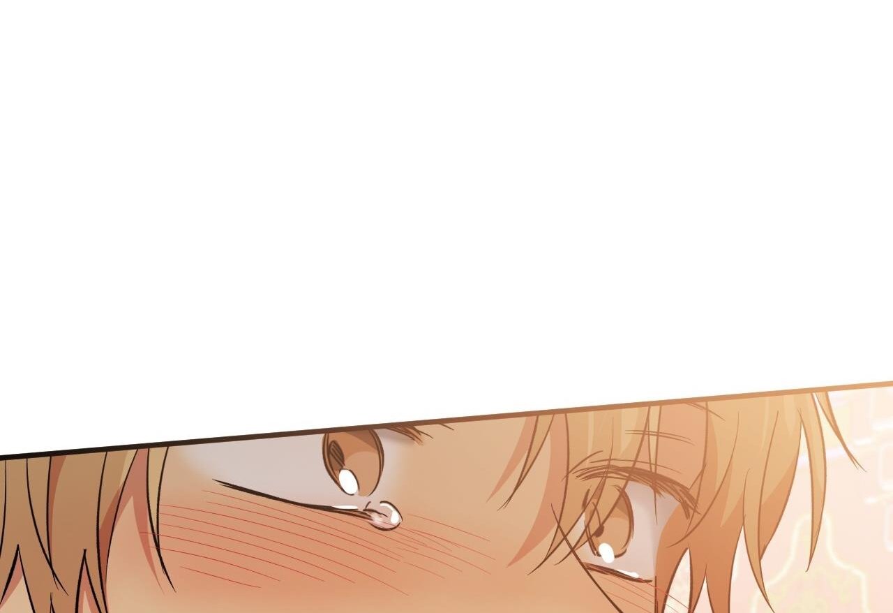 những chú thỏ của hapypy chapter 62 192