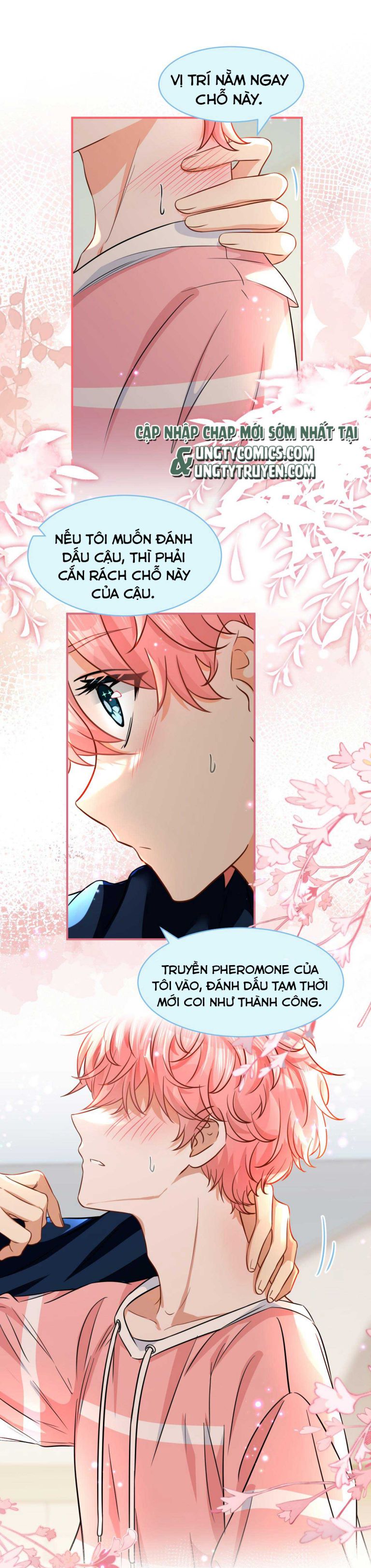 tín tức tố nói chúng ta không thể chapter 48 3