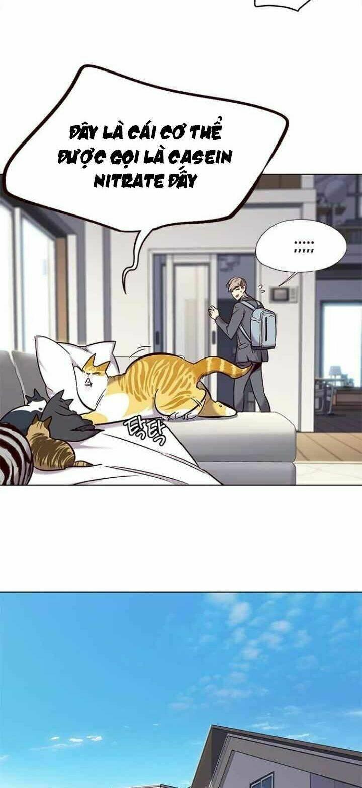 biến thân thành mèo chapter 100 5