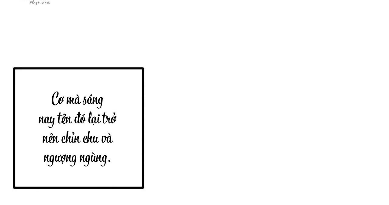 bẫy đôi ngọt ngào chapter 17 39