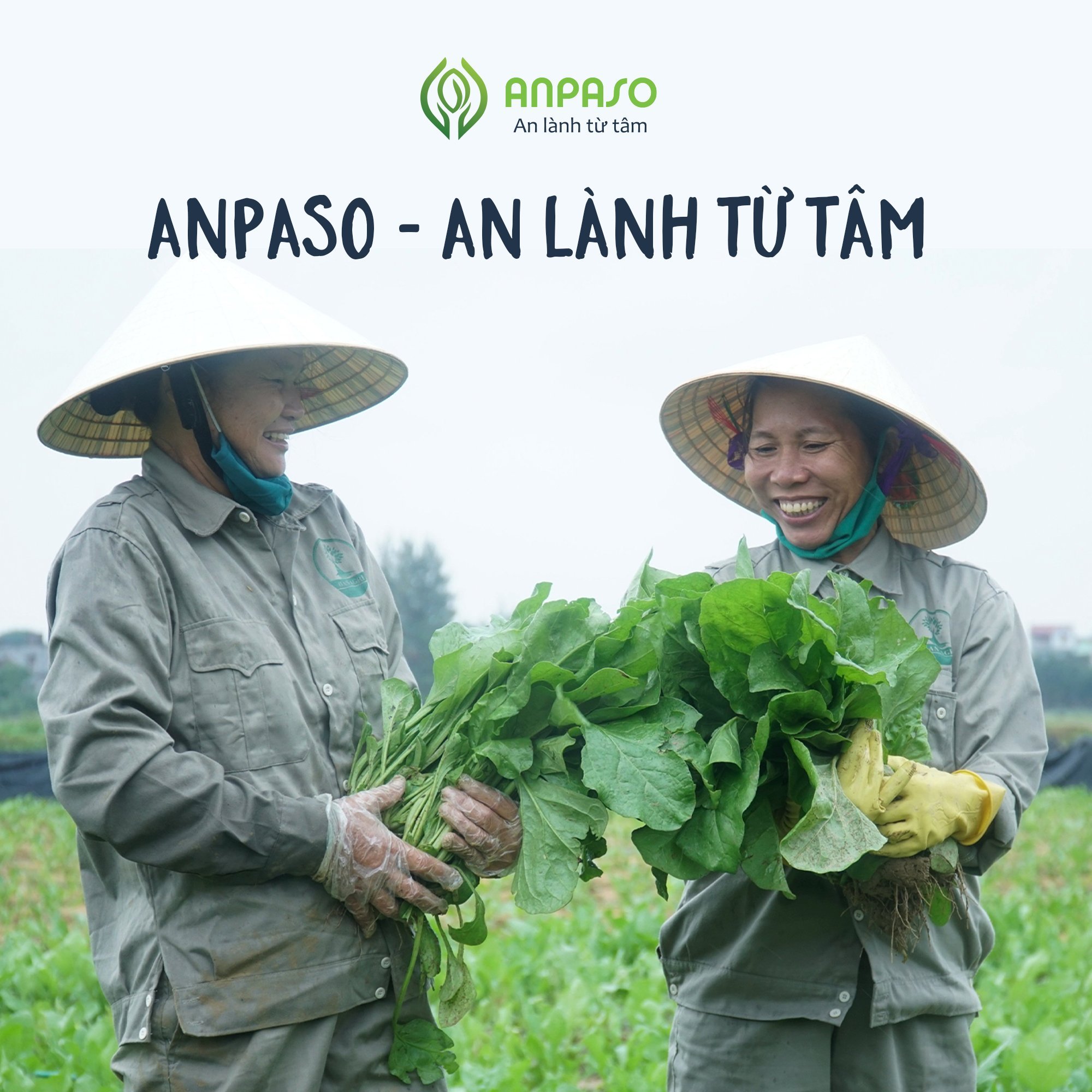 Mì Rau Củ Ăn Dặm Vị Cải Bó Xôi Organic Anpaso 300gr