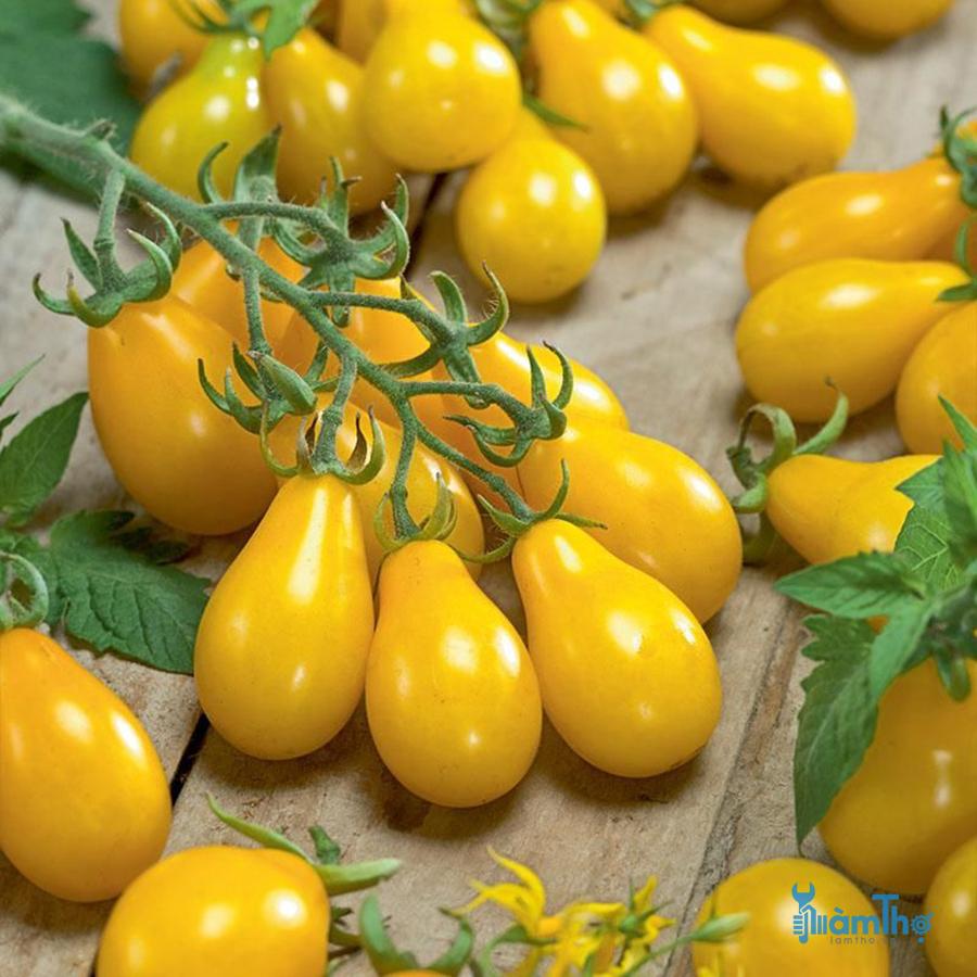 Hạt Giống Cà Chua Lê Vàng -