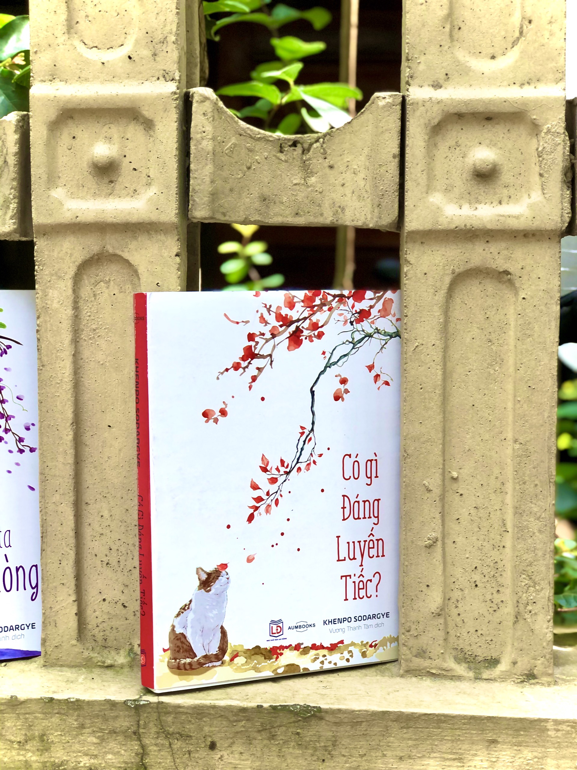 Sách Có Gì Đáng Luyến Tiếc - Sách Tôn Giáo, Nghệ Thuật Và Văn Hóa, Tác Giả KHENPO SODARGYE - Á Châu Books, bìa mềm, in màu