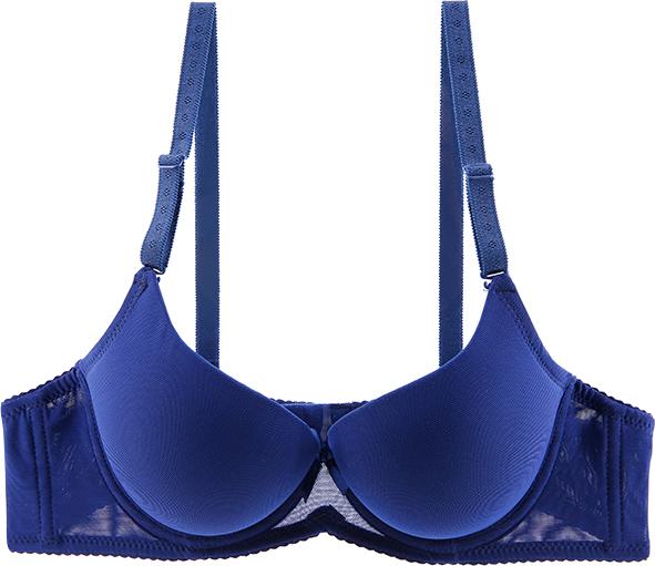 Áo Ngực Cao Cấp Mignon Cúp Nâng AN043