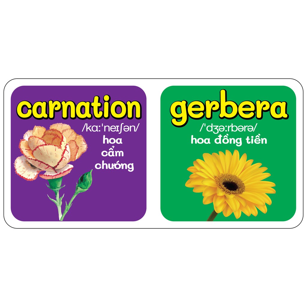 Trọn Bộ 9 Quyển Từ Điển Bằng Hình Đầu Tiên Của Bé Từ 0-6 tuổi - Song Ngữ Anh- Việt