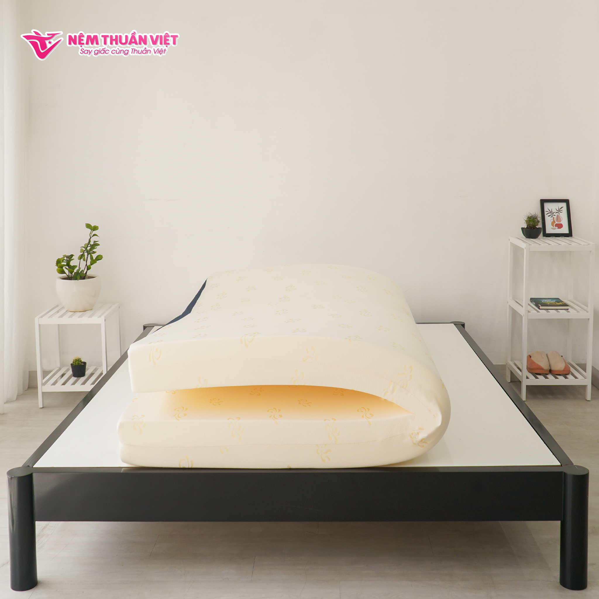 (1m8x2mx15cm) Nệm Foam Thuần Việt Venus - Nệm Ép Cuộn Thế Hệ Mới