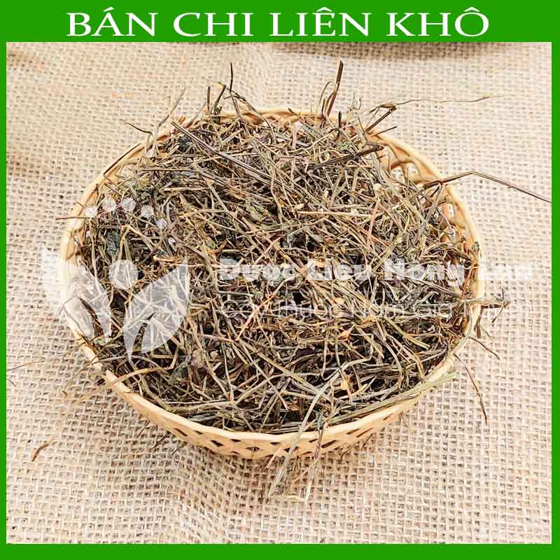 Cây BÁN CHI LIÊN khô đóng gói 500g - Hàng Công ty loại 1